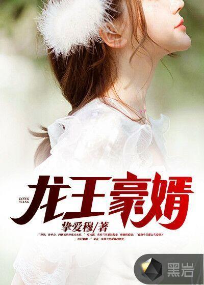 龙王豪婿