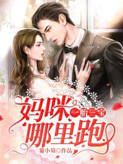 一胎三宝:妈咪哪里跑