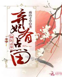 神医灵泉:弃妃,有点田