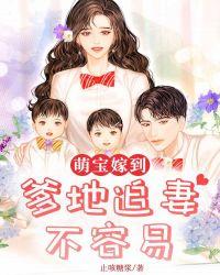 萌宝嫁到:爹地追妻不容易