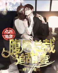 亿万婚宠:腹黑总裁追甜妻