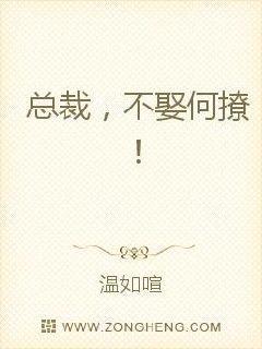 总裁,不娶何撩!