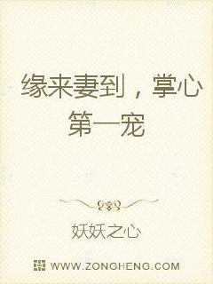 缘来妻到,掌心第一宠