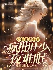 小白花逃婚后,疯批叶少夜难眠
