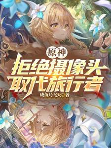 原神:拒绝摄像头,取代旅行者