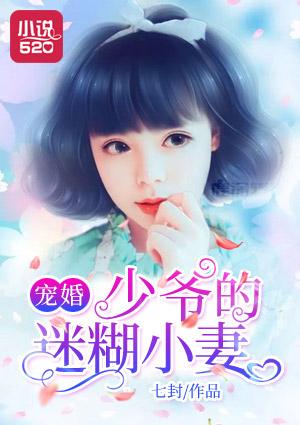 宠婚:少爷的迷糊小妻