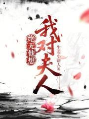 我对夫人绝无他想