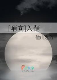 [哨向]入鞘