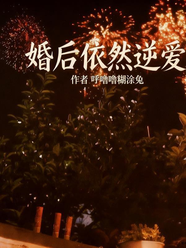婚后依然逆爱